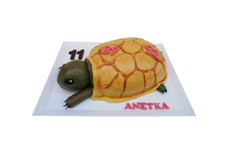 Modelovaný dort želva