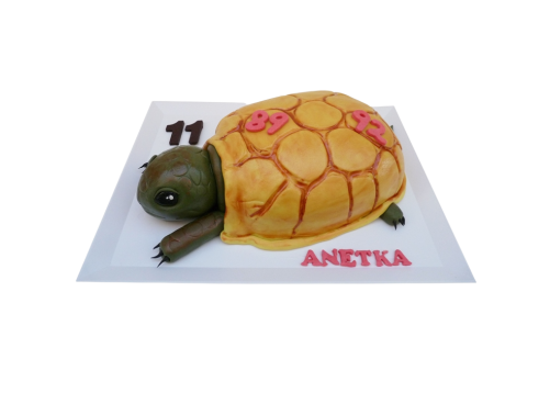 Modelovaný dort želva