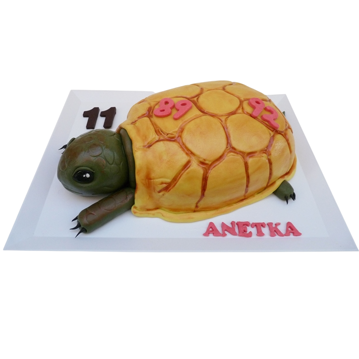 Modelovaný dort želva