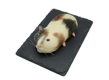 Modelovaný dort morče