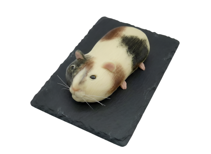 Modelovaný dort morče