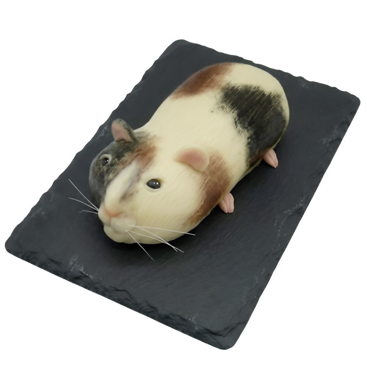 Modelovaný dort morče