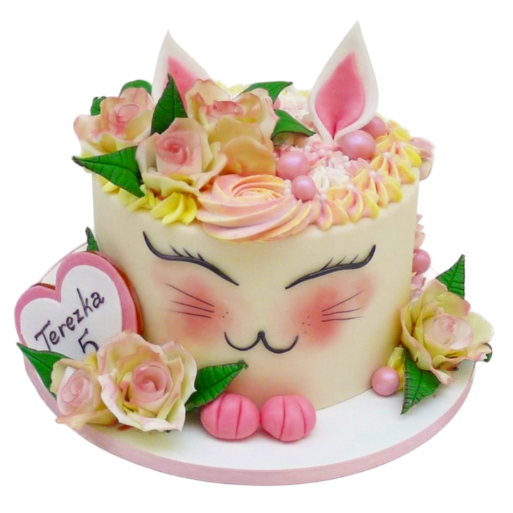 Dětský dort kočička s růžemi