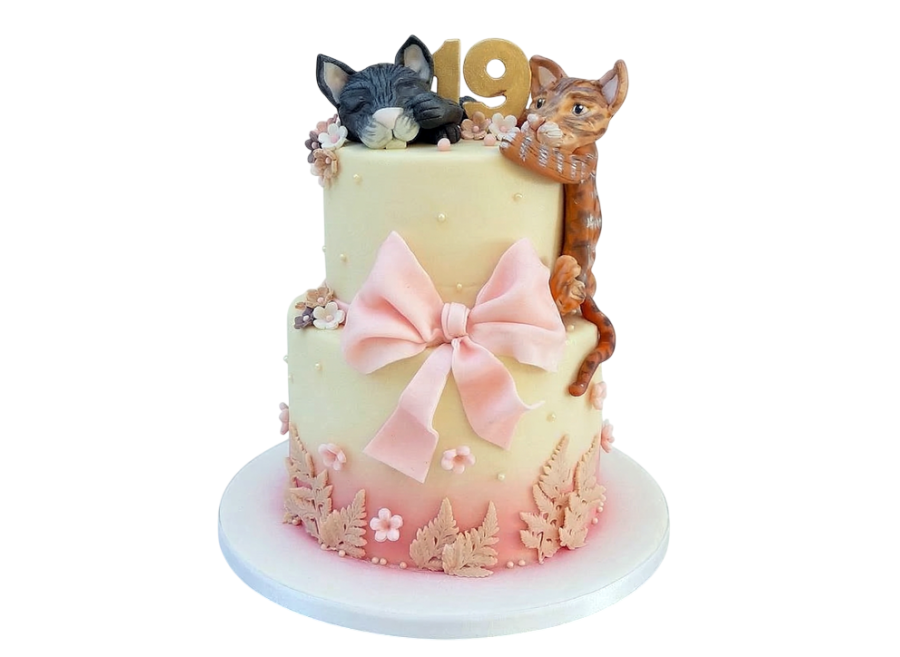 Tématicky dort s kočkami