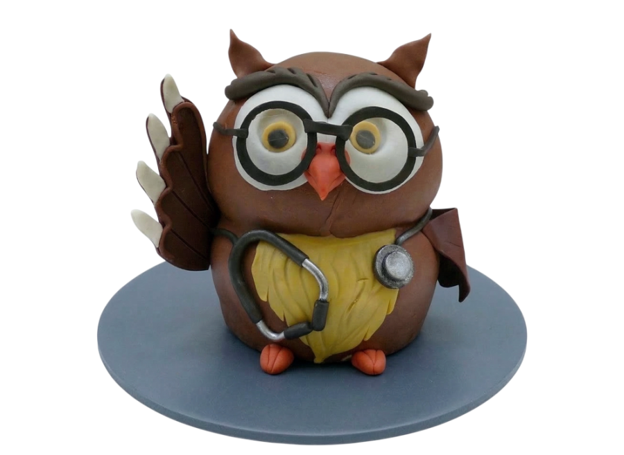 Modelovaný dort doktorka sova
