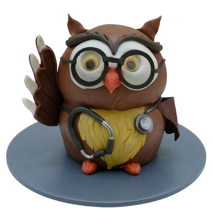 Modelovaný dort doktorka sova