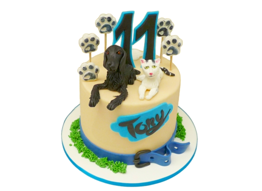 Tématický dort se psem a kočkou