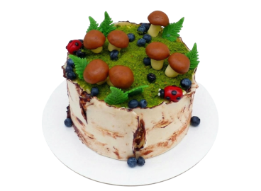 Tématický dort bříza s houbami