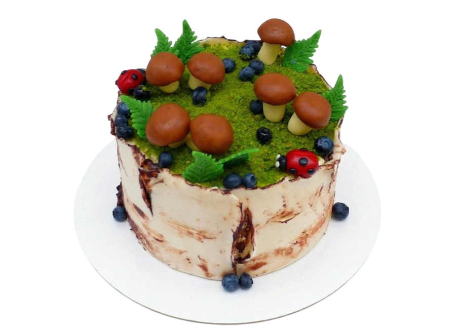 Tématický dort bříza s houbami