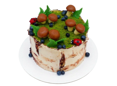 Tématický dort bříza s houbami