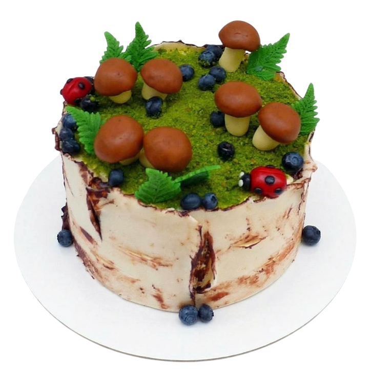 Tématický dort bříza s houbami