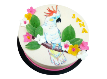 Tématický dort s papouškem