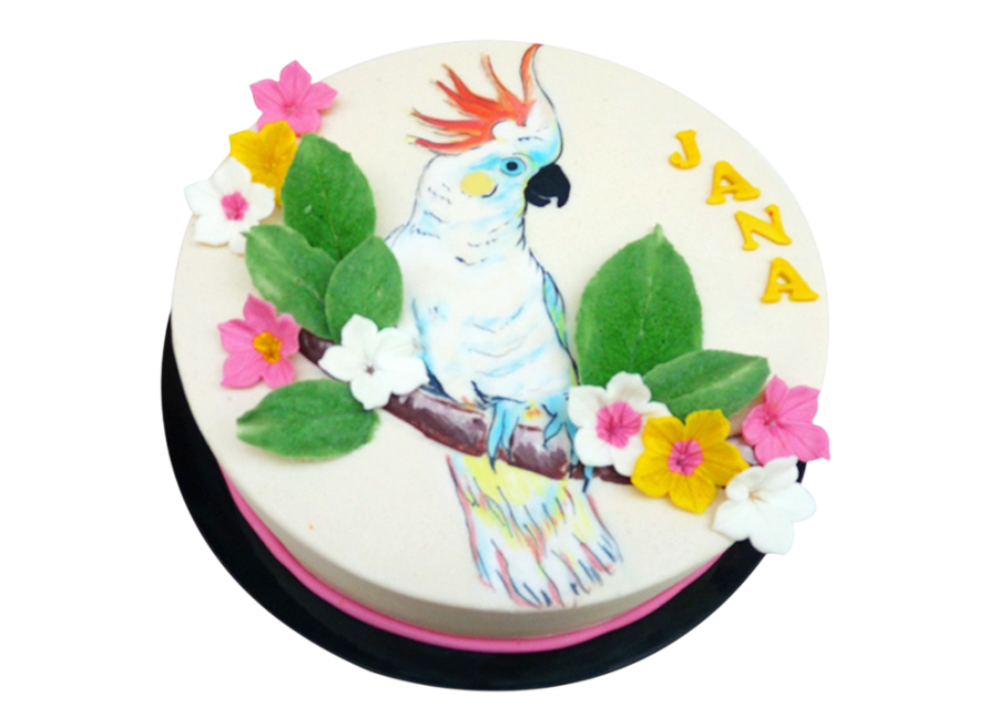 Tématický dort s papouškem