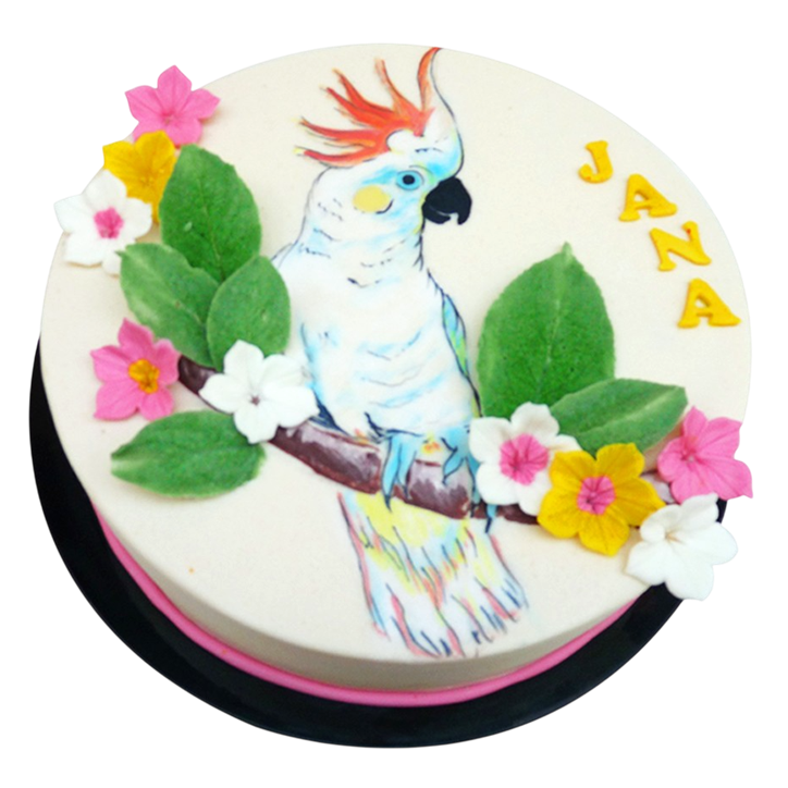 Tématický dort s papouškem