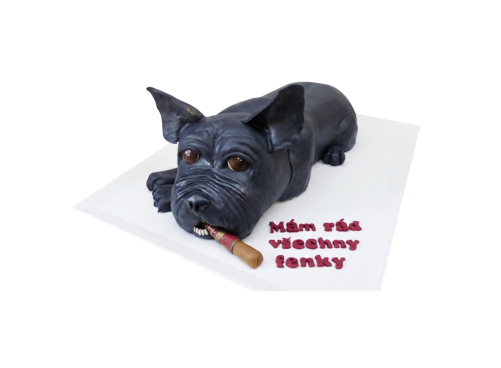 Modelovaný dort buldoček s doutníkem