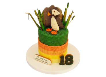 Tématický dort s papuchalkem