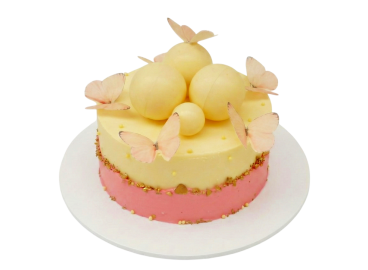 Slavnostní dort s motýly