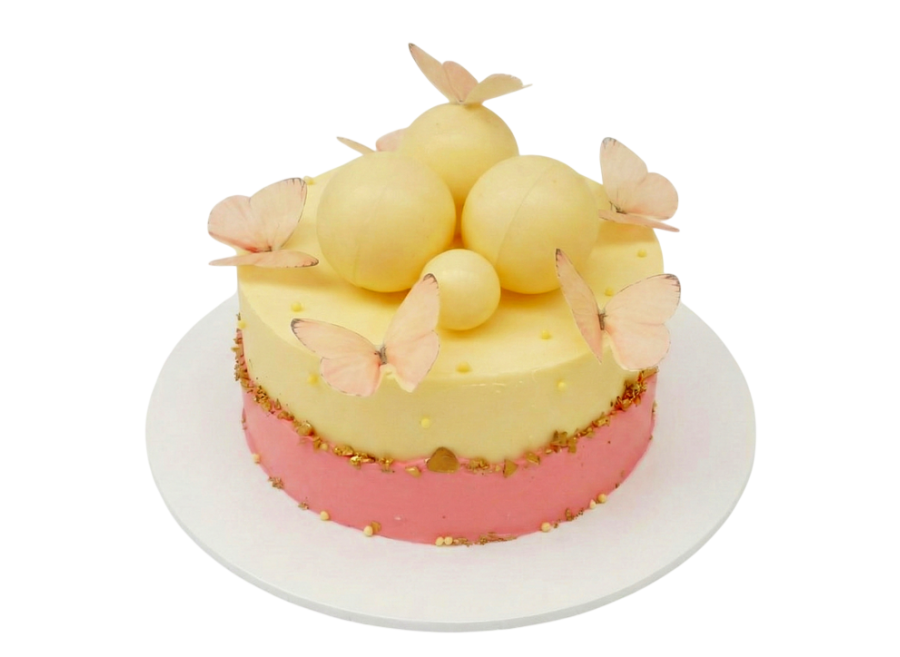 Slavnostní dort s motýly