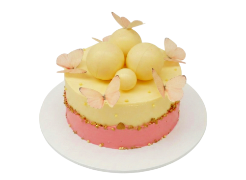 Slavnostní dort s motýly