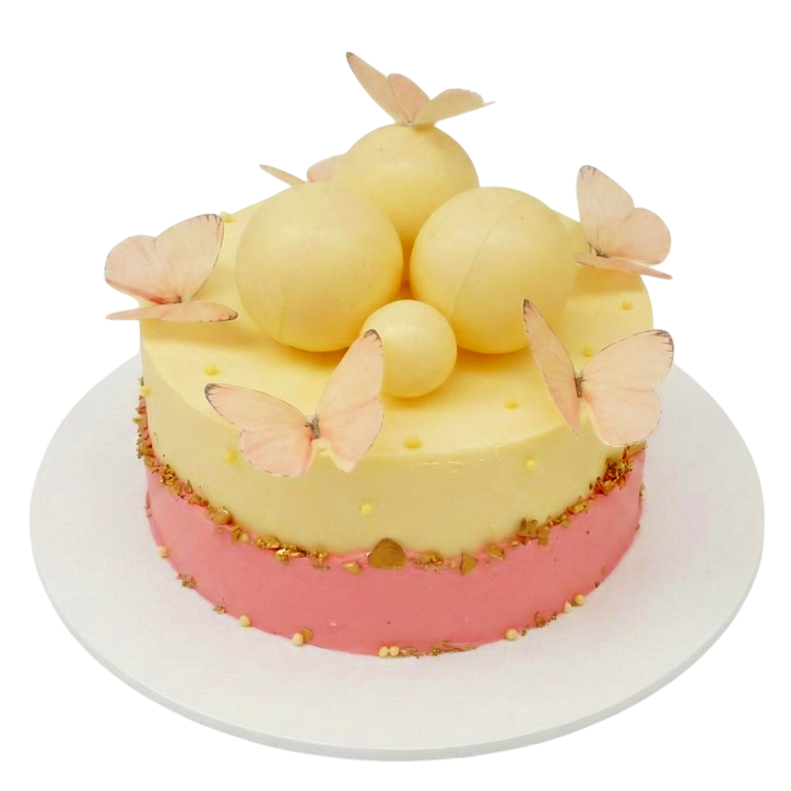 Slavnostní dort s motýly